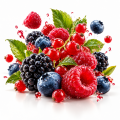 Fruit